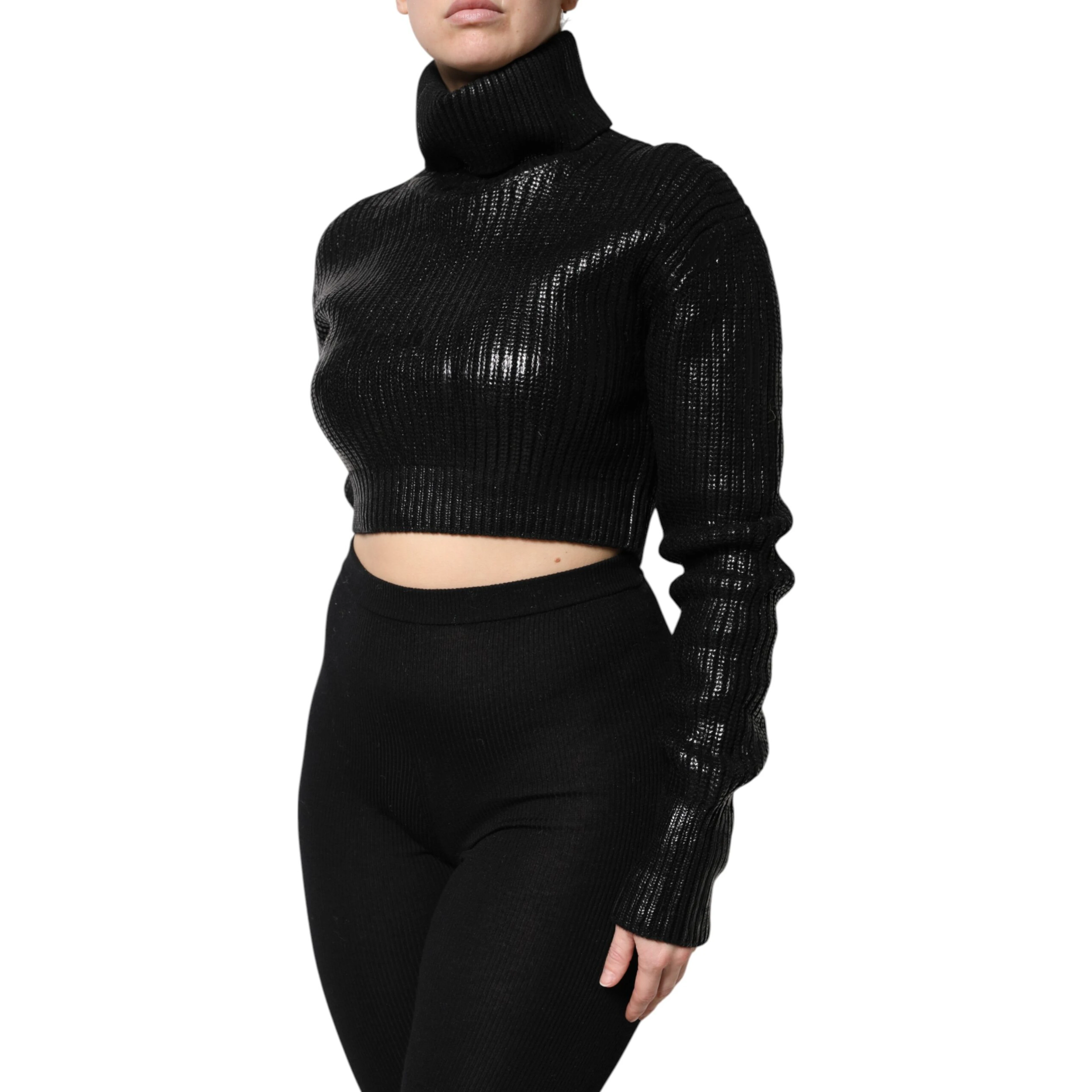 Black Wool Long Sleeve Turtleneck Cropped Top
