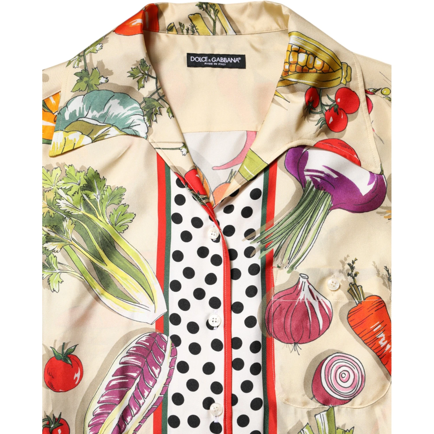 Multicolor Vegetables Silk Long Sleeves Top