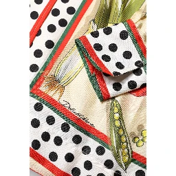 Multicolor Vegetables Silk Long Sleeves Top