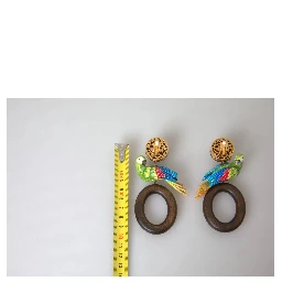 Multicolor Parrot Wood Brass Crystal Embellished Earrings