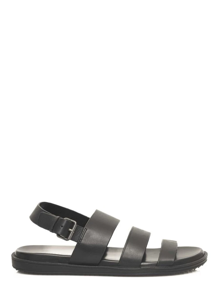 Black Cowhide Men Sandal