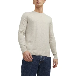 Beige Cotton Sweatshirt