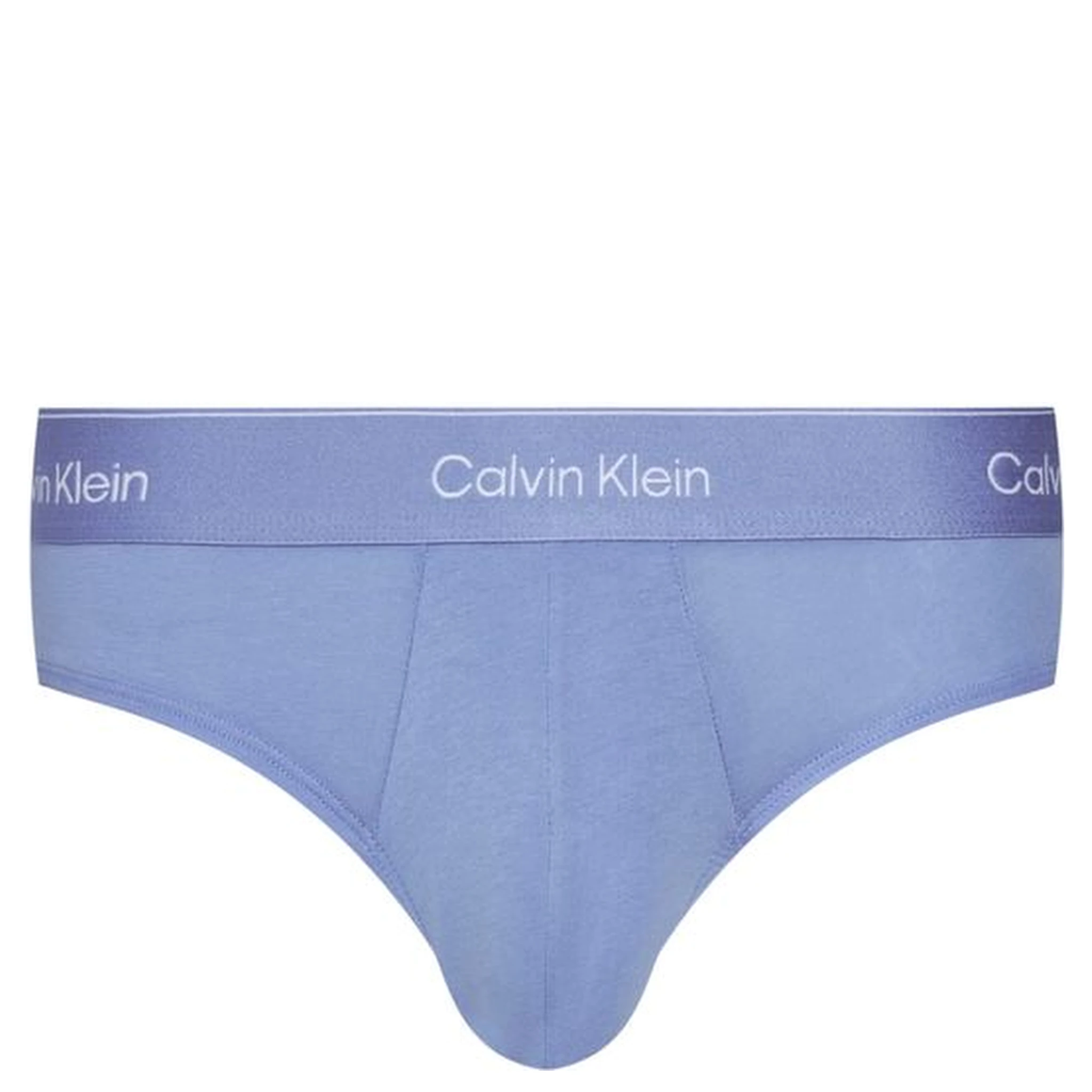 Blue Cotton Briefs