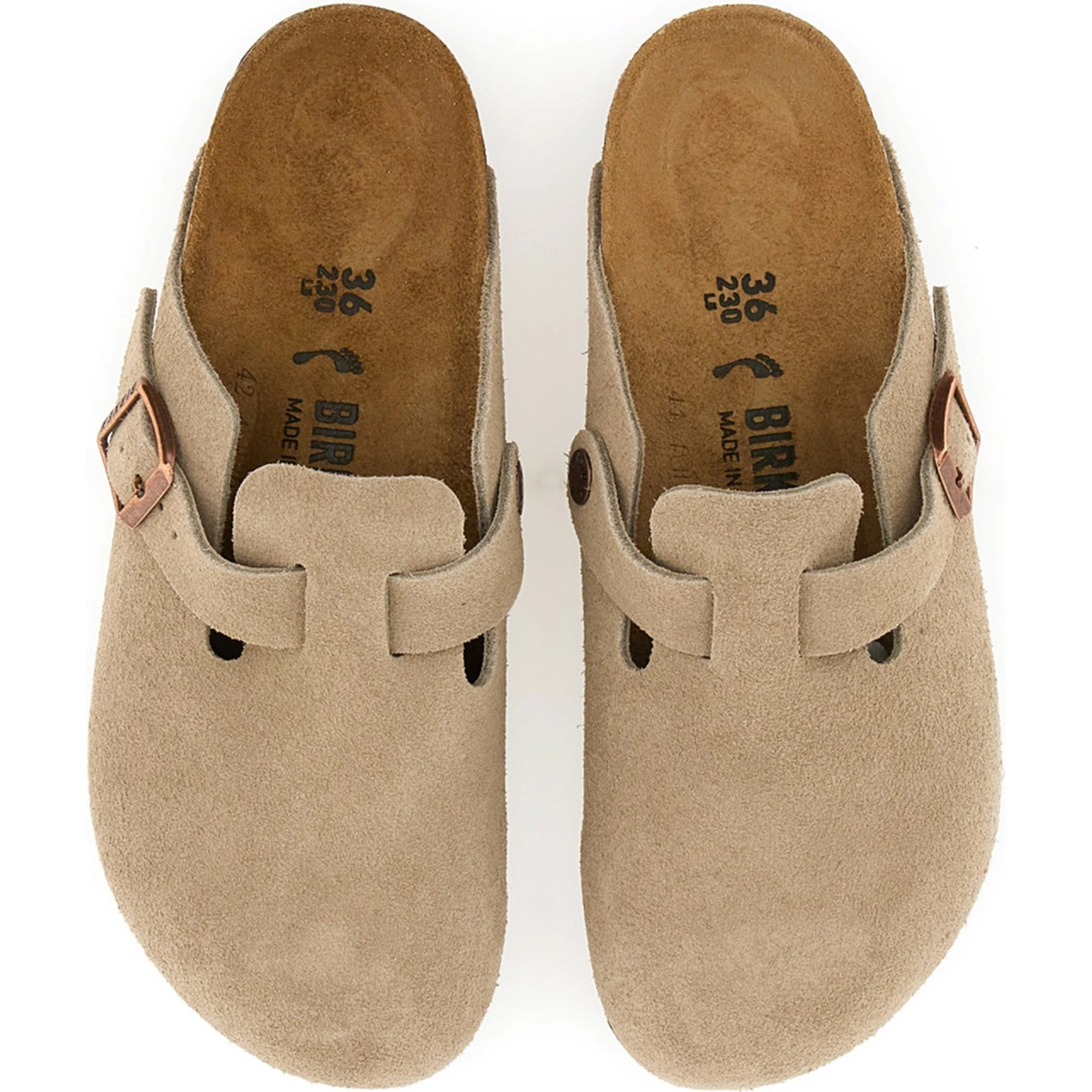 SABOT BOSTON