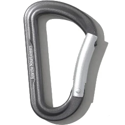 Carabiners with engraved logo