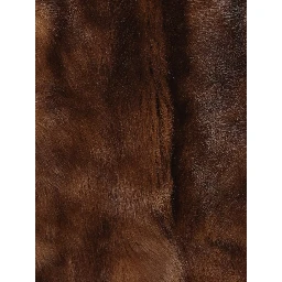 Hypnotic Tip Shearling Leather Jacket In Brown