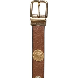 Brown Leather Gold Silver Coin Buckle Belt