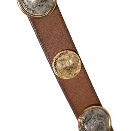 Brown Leather Gold Silver Coin Buckle Belt