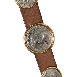 Brown Leather Gold Silver Coin Buckle Belt