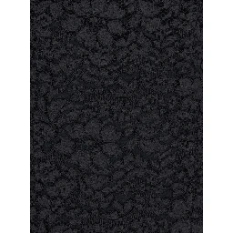 Black Maxi Dress with Rear Concealed Zip Closure and All-Over Embroidery in Lace Woman