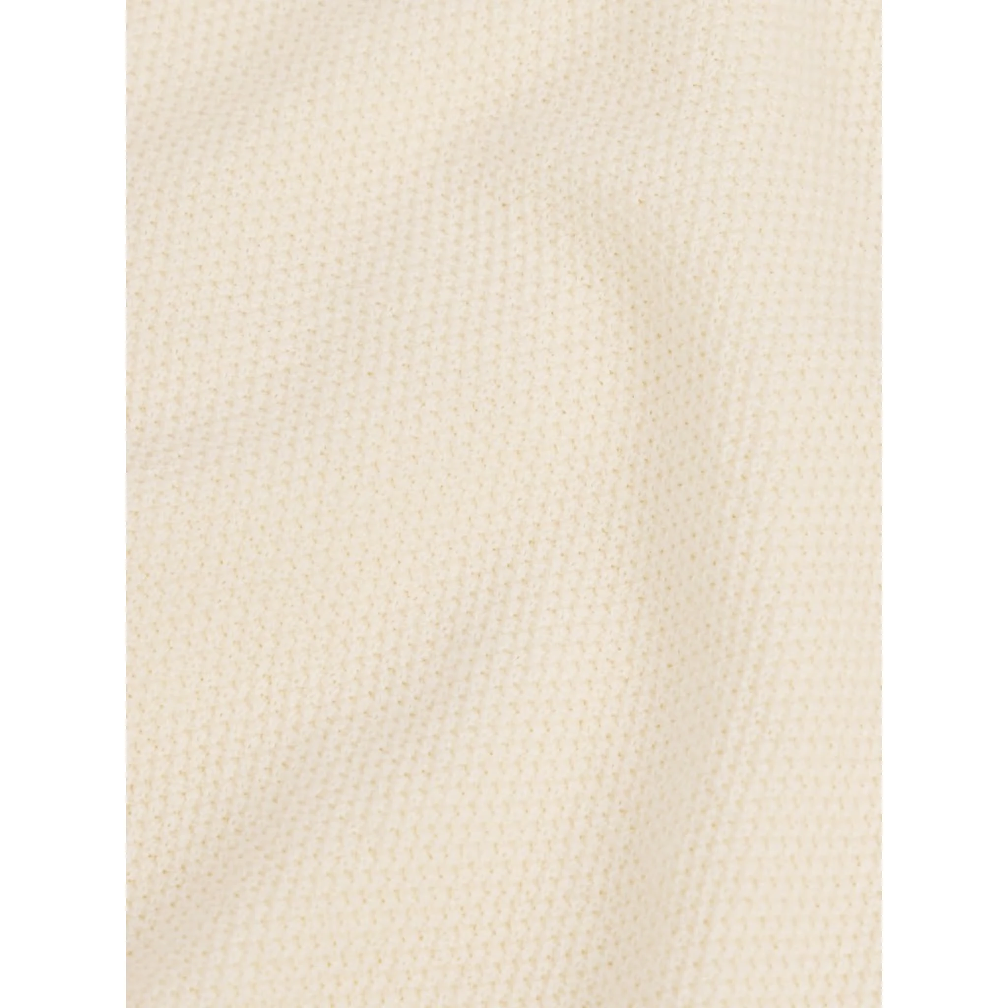 Crewneck sweater in organic cotton