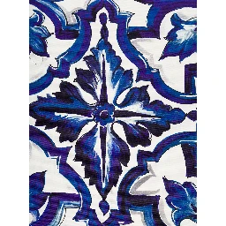 Blue and White Small Cushion with Blue Mediterranean Print in Cotton Dolce & Gabbana