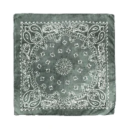 Golden Goose Scarfs Green