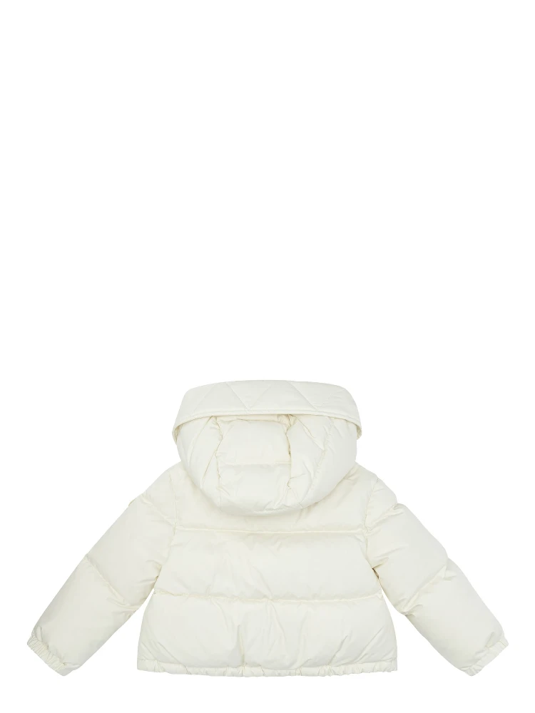 Jackets & Coats alternative