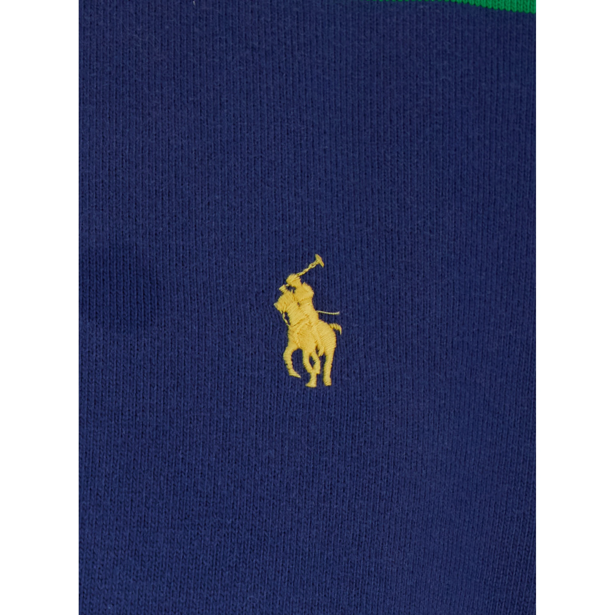 "Rugby Fit" Multicolor Polo Shirt with Logo Embroidery on the Front and All-Over Striped Motif in Cotton Man