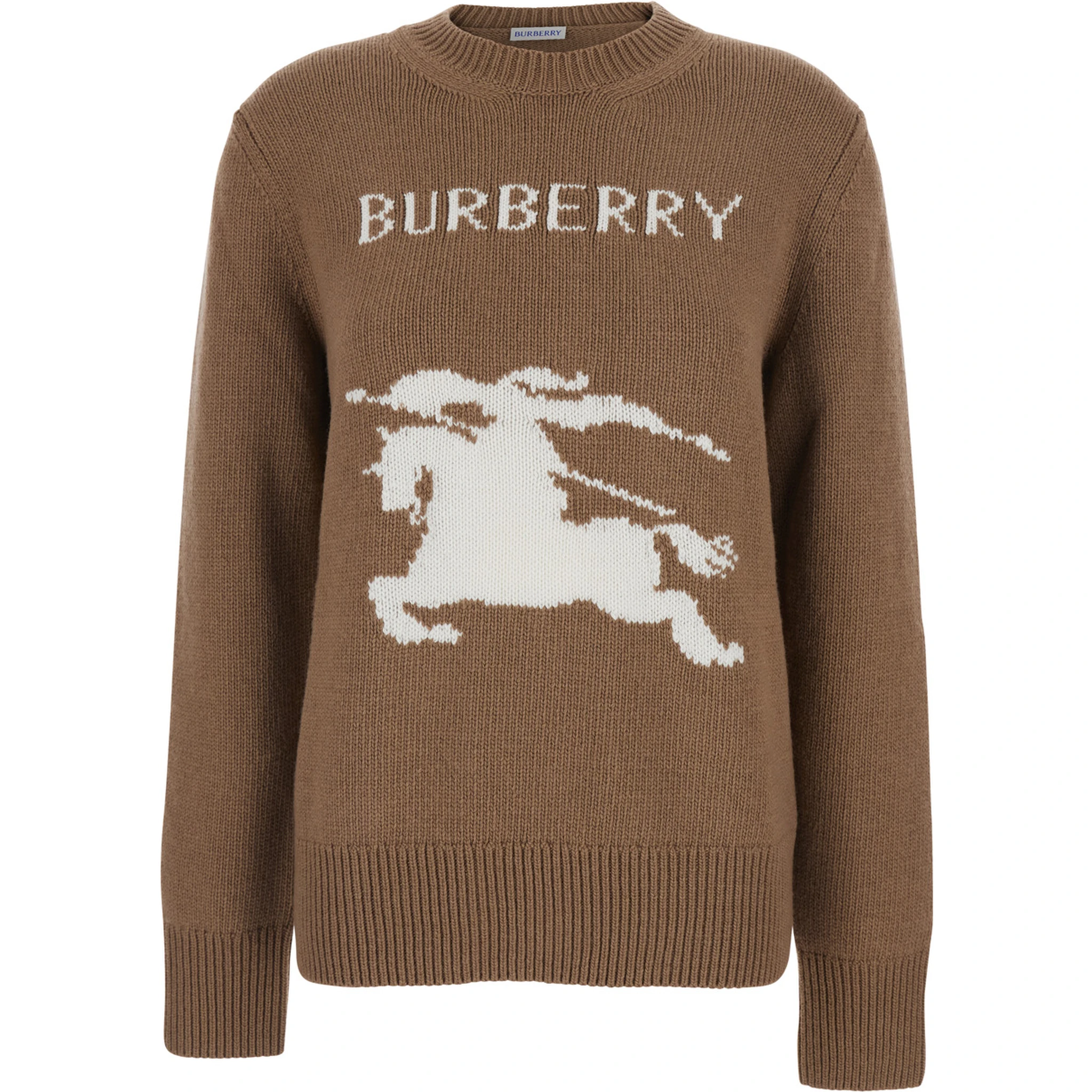 Beige Crewneck Sweater with Maxi EKD Embroidery on the Front and Logo Lettering in Wool and Cashmere Woman