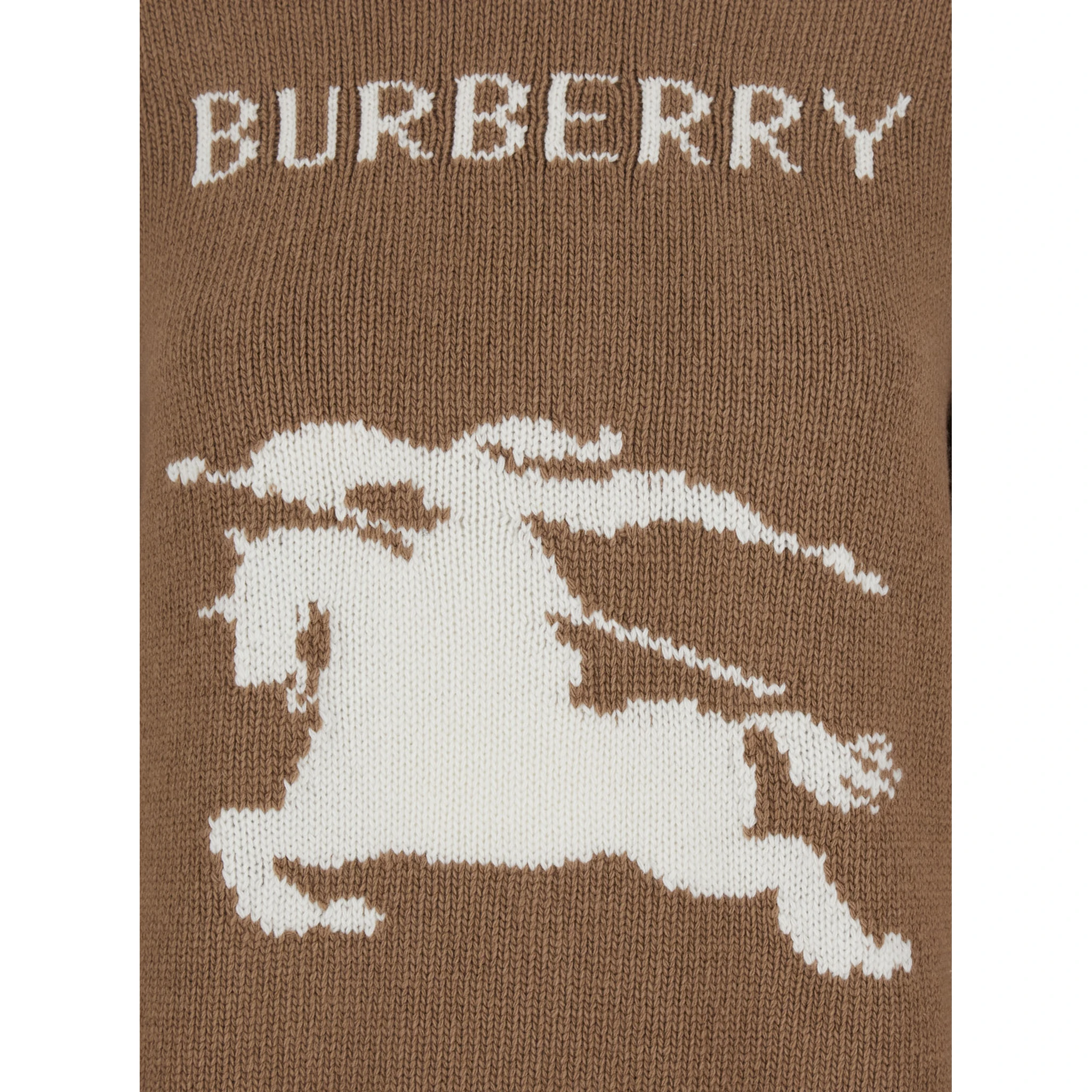 Beige Crewneck Sweater with Maxi EKD Embroidery on the Front and Logo Lettering in Wool and Cashmere Woman