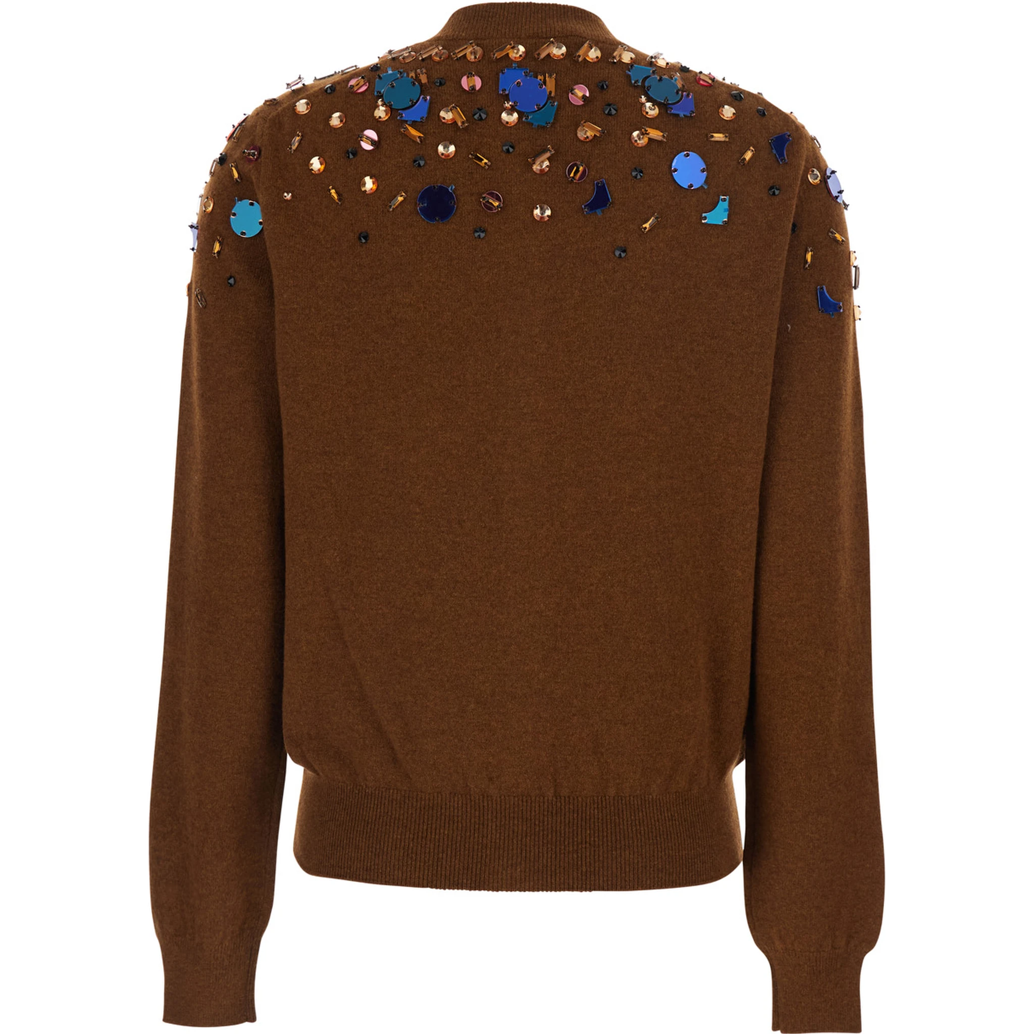 Brown Crewneck Cardigan with Rhinestone Embroidery in Wool and Cashmere Woman