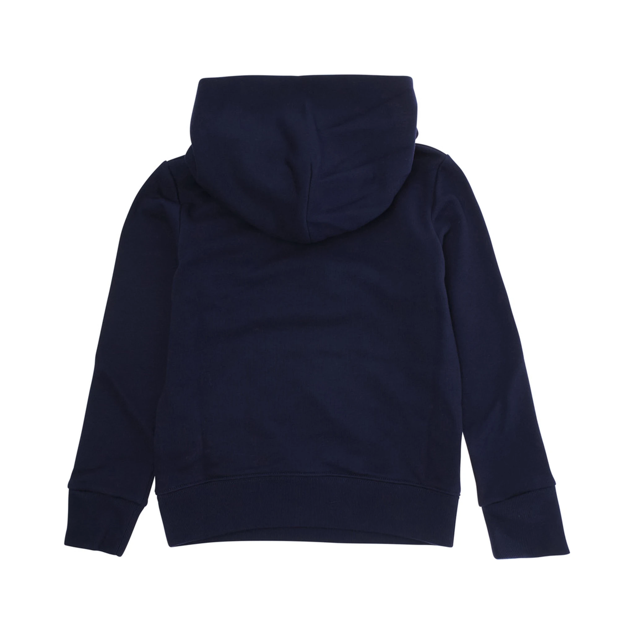 Blue Sweatshirt with Fixed Hood and Logo Lettering on the Front in Cotton Kid