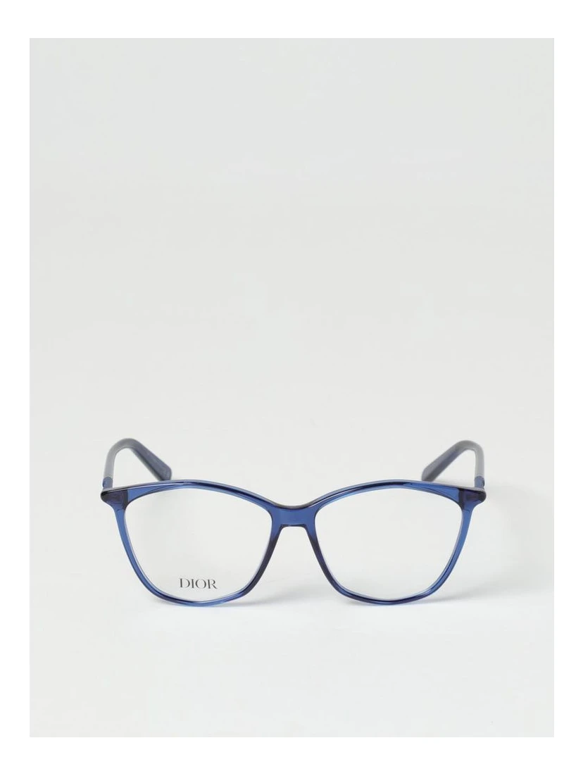 Blue Plastic Glasses (Frames)