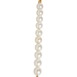 Black Leather Gold Chain Bag Accessory Shoulder Strap