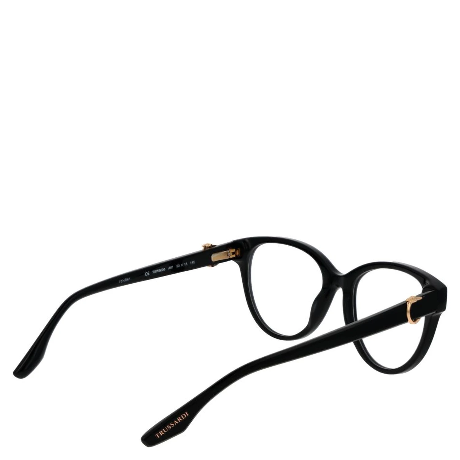 Black Acetate Glasses (Frames)