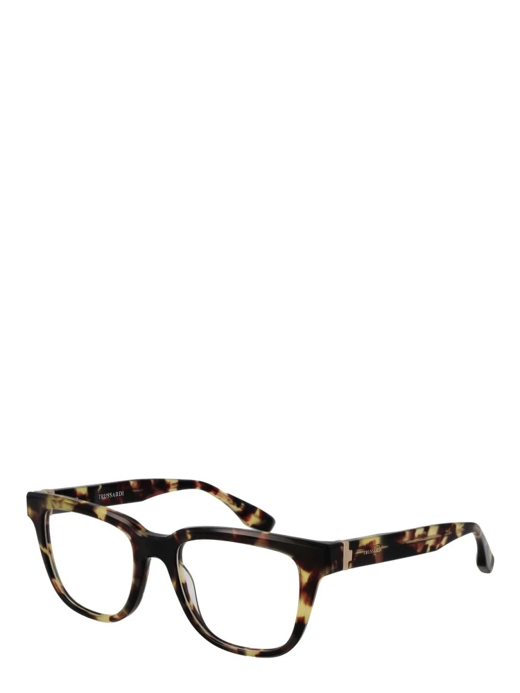 Brown Acetate Glasses (Frames)
