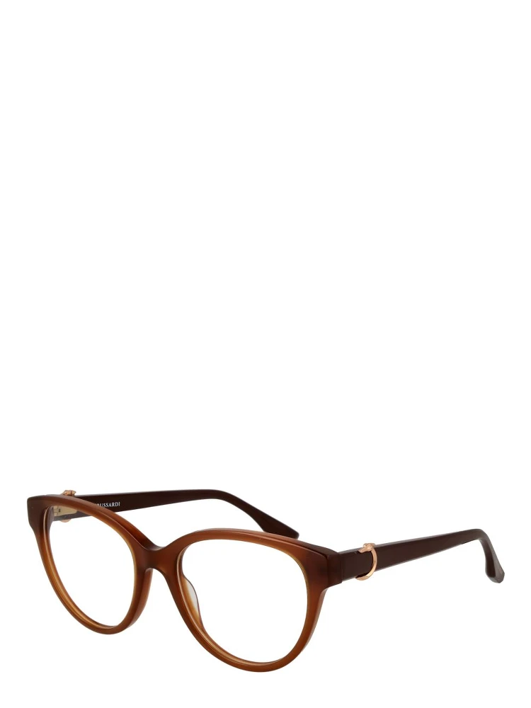 Brown Acetate Glasses (Frames)