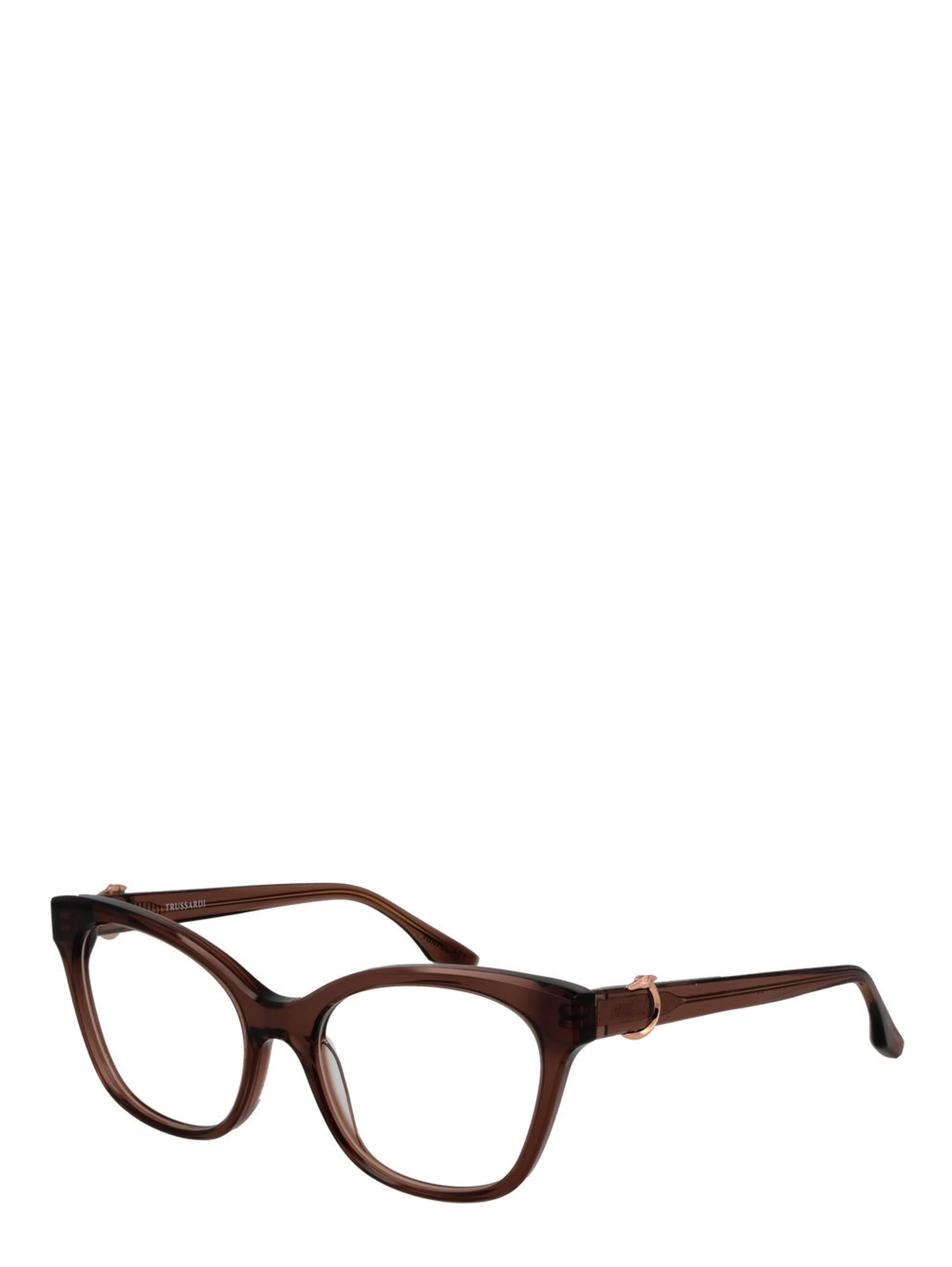 Brown Acetate Glasses (Frames)