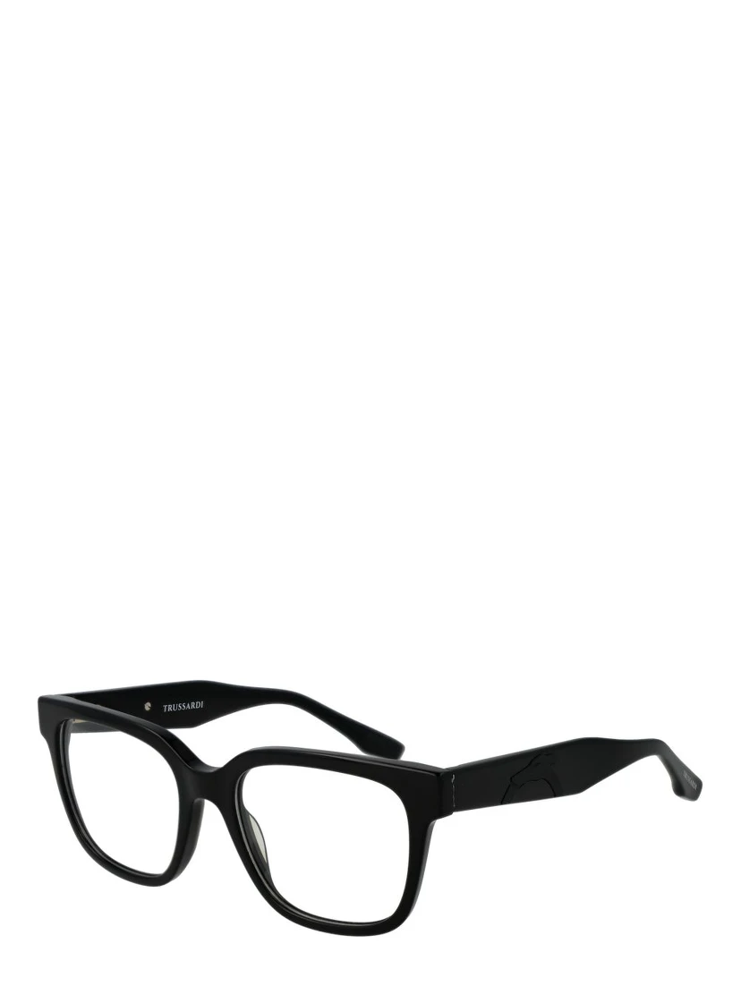 Black Acetate Glasses (Frames)