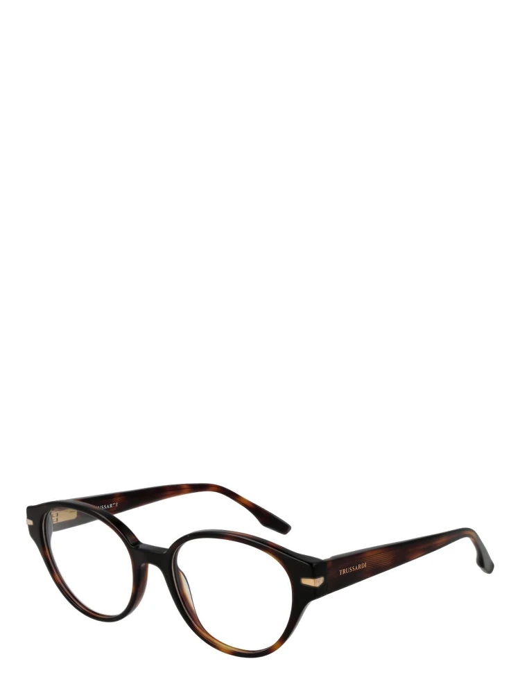 Brown Acetate Glasses (Frames)