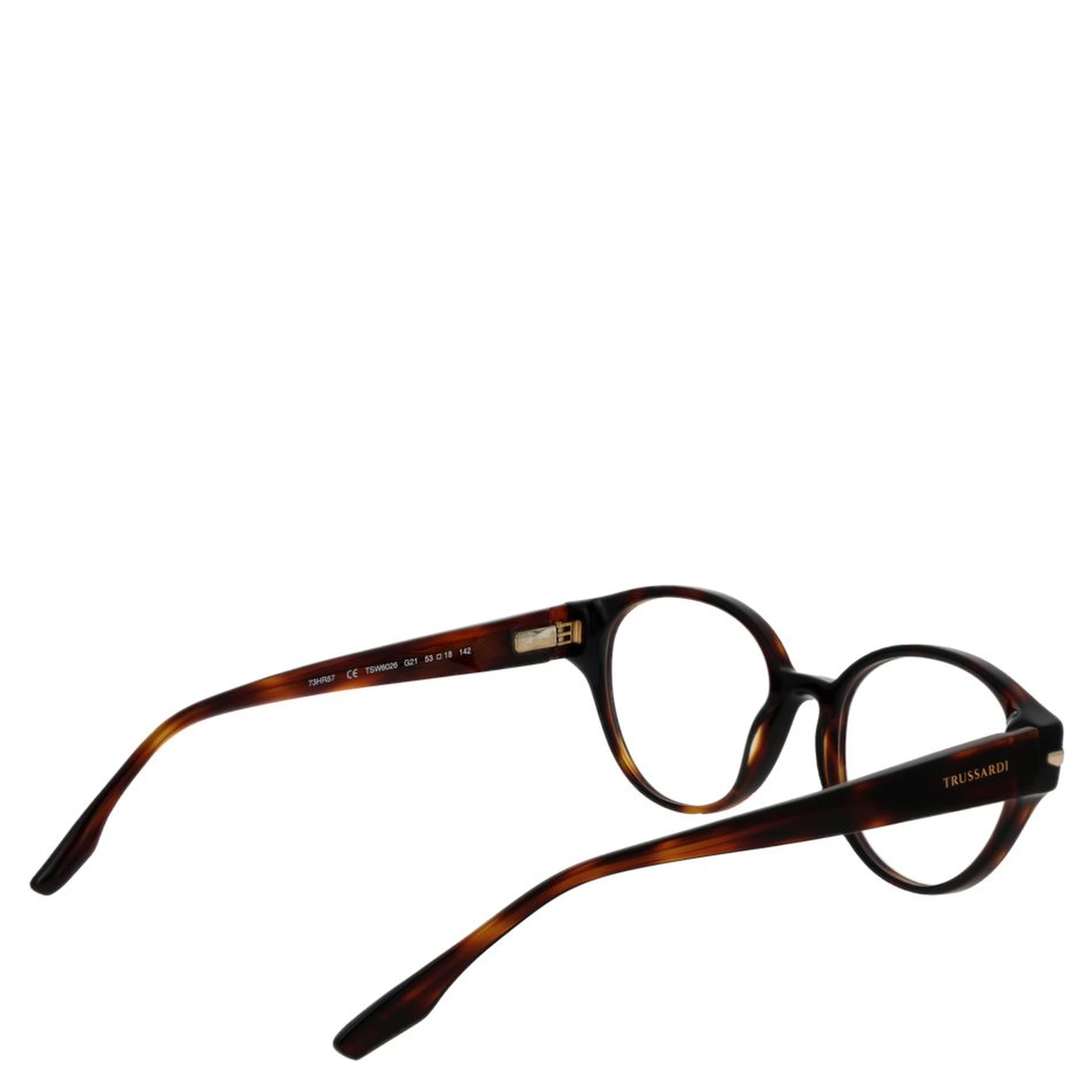 Brown Acetate Glasses (Frames)