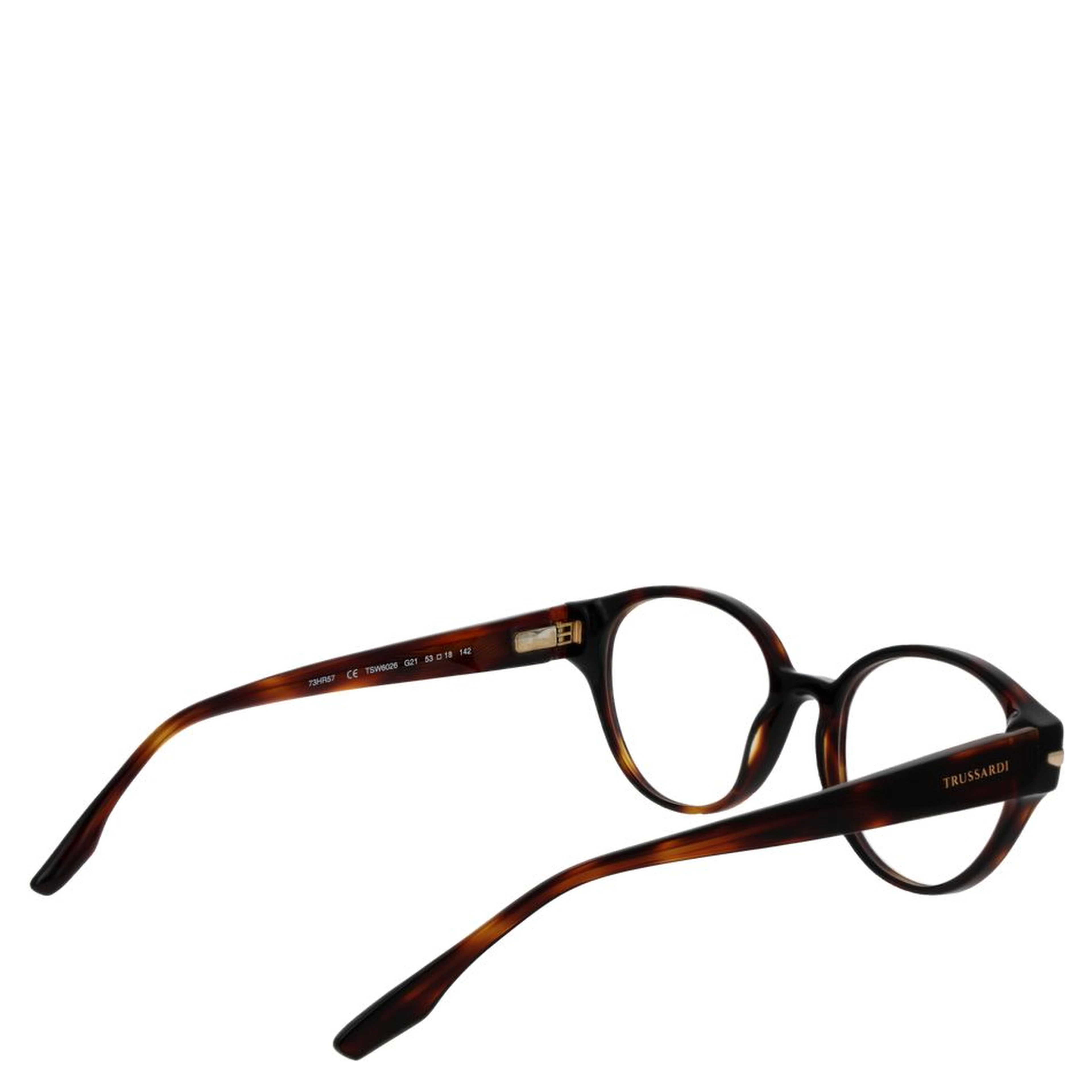 Brown Acetate Glasses (Frames)