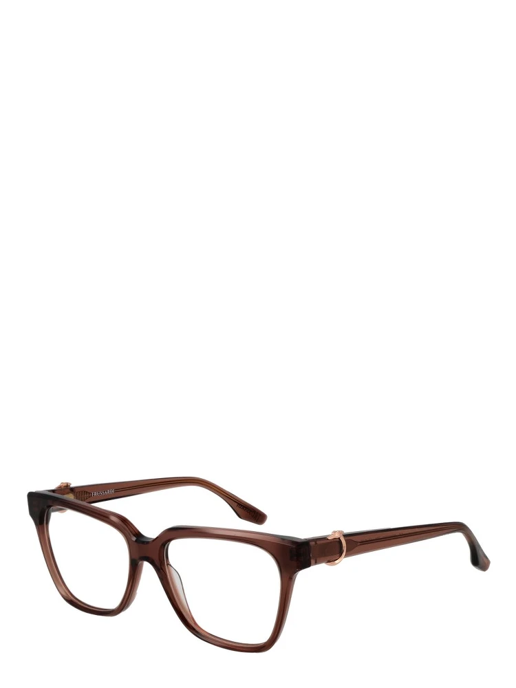 Brown Acetate Glasses (Frames)