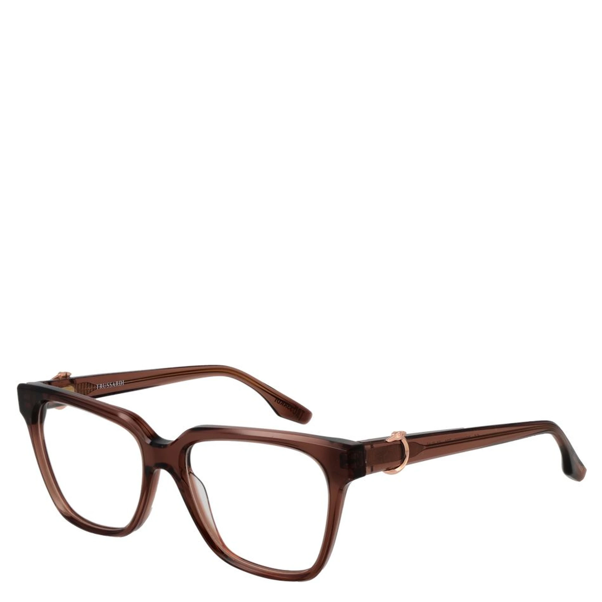 Brown Acetate Glasses (Frames)