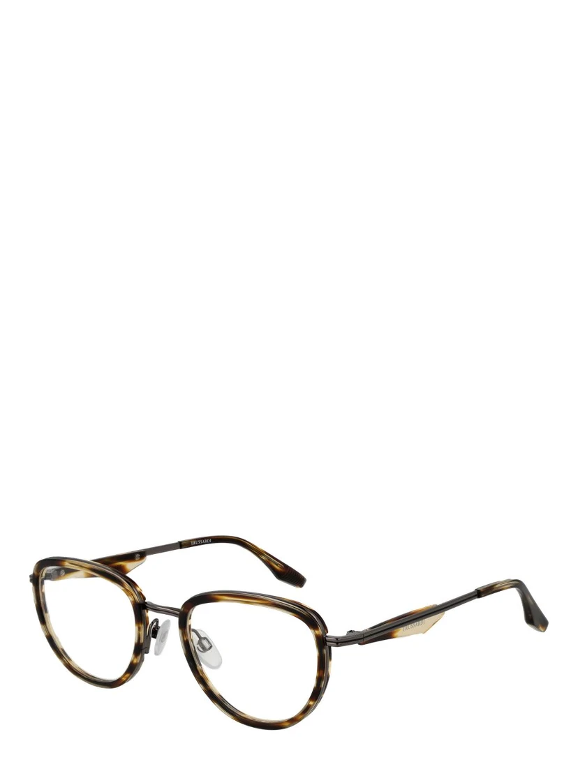 Brown Metal & Plastic Glasses (Frames)