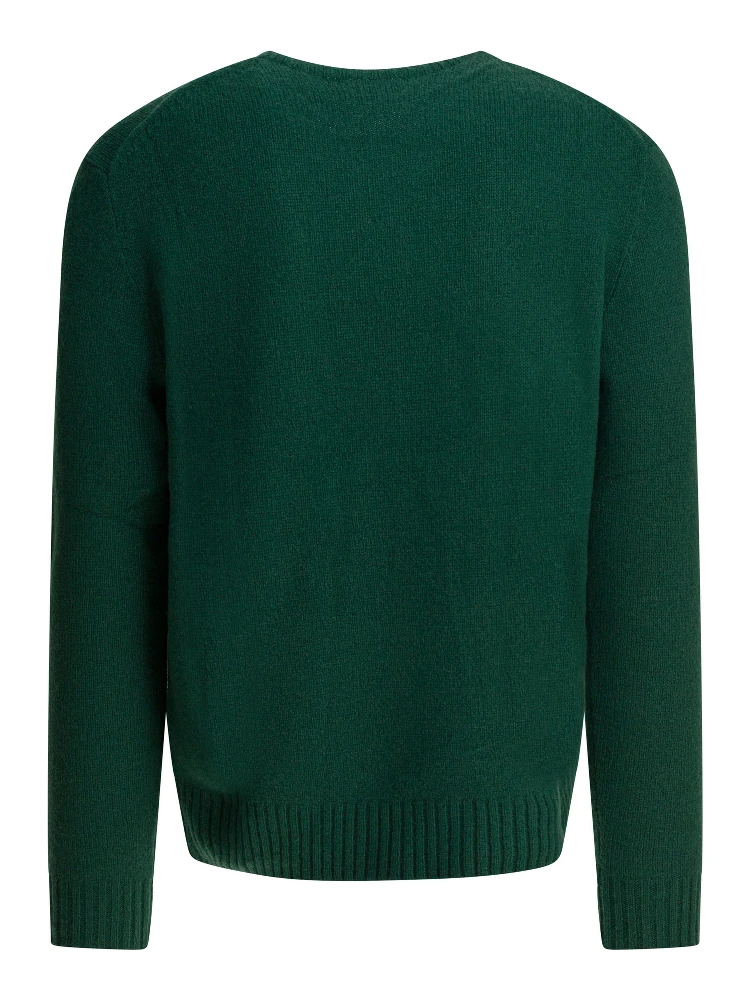 "Polo Bear" crewneck sweater alternative