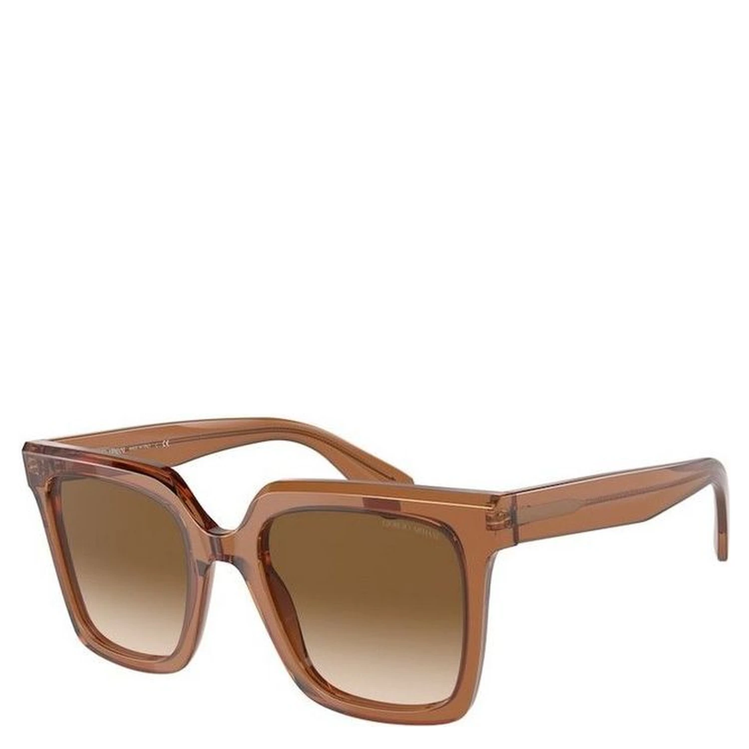 Brown Acetate Sunglasses