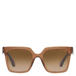 Brown Acetate Sunglasses