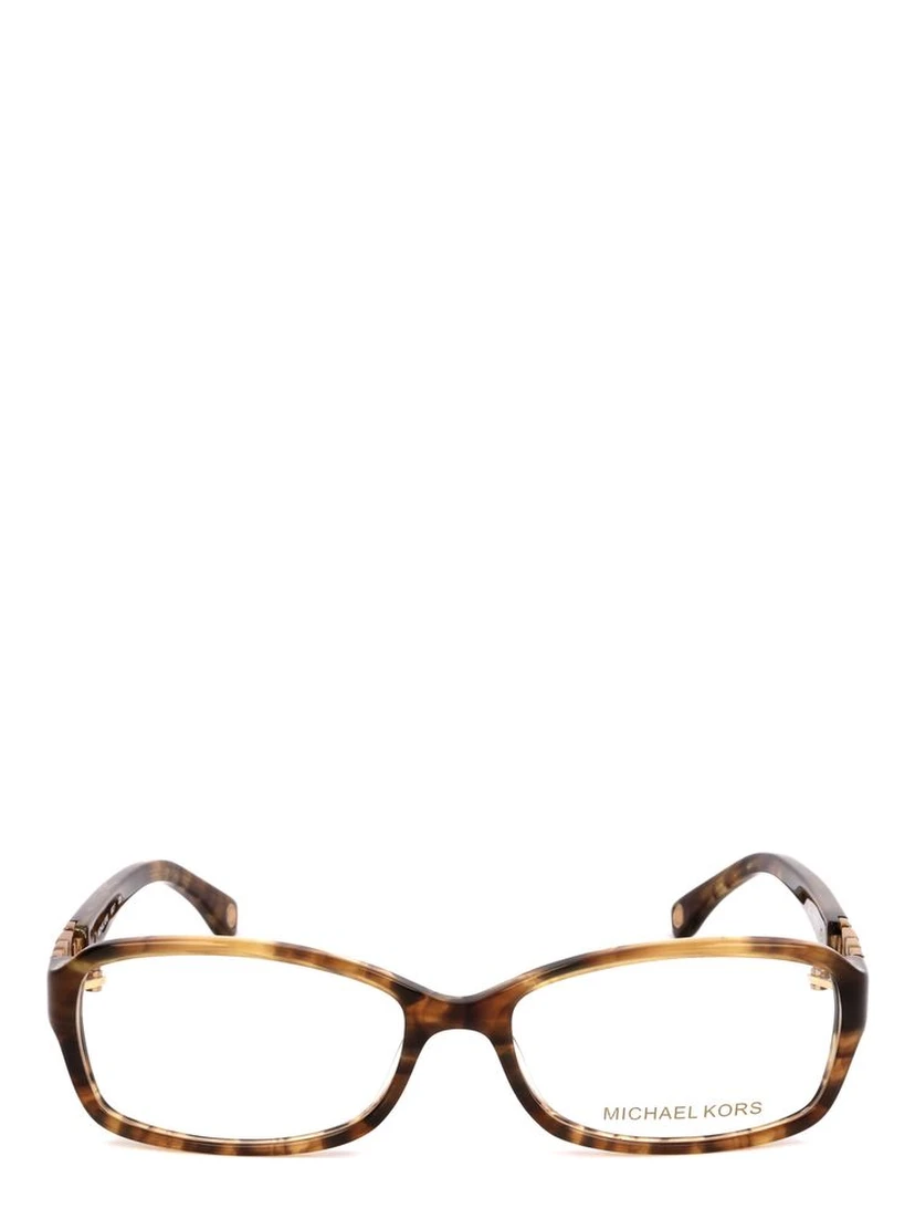 Brown Plastic Glasses (Frames)