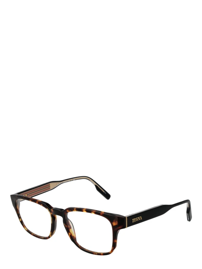 Brown Acetate Glasses (Frames)
