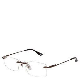 Brown Titanium Glasses (Frames)
