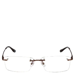 Brown Titanium Glasses (Frames)