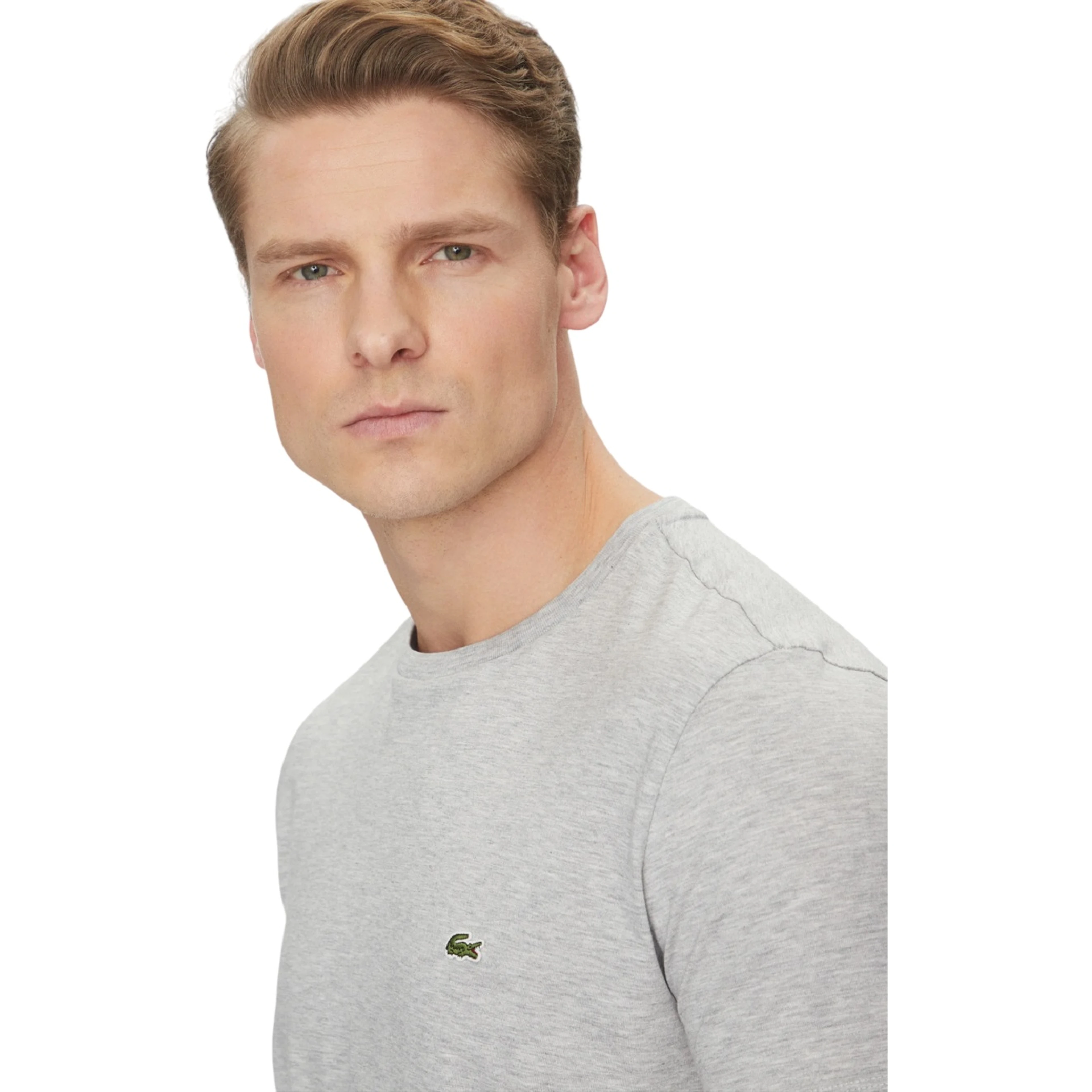 Lacoste T-shirts and Polos Grey