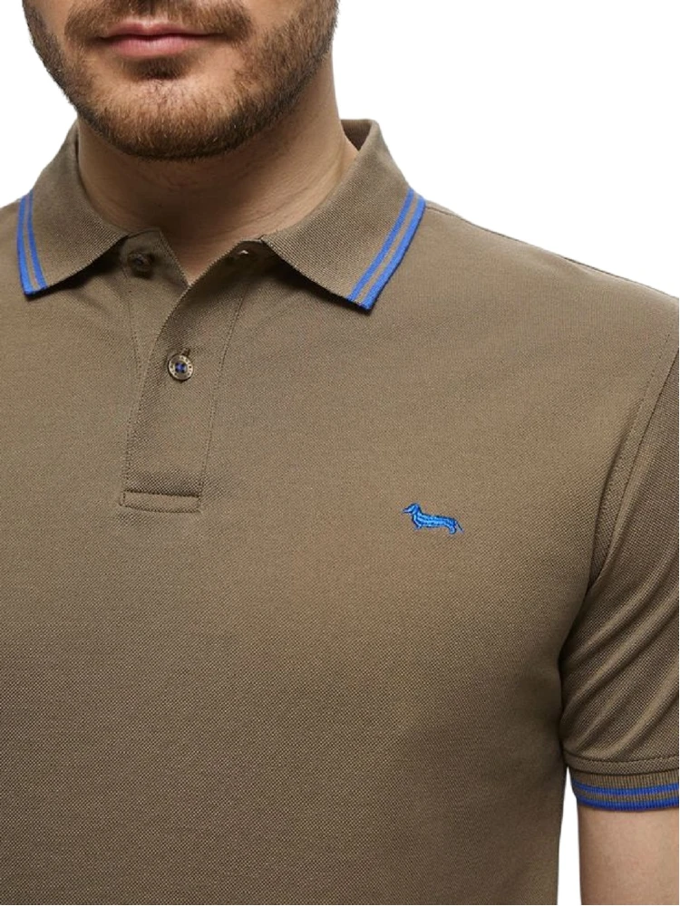 Harmont & Blaine T-shirts and Polos Green alternative