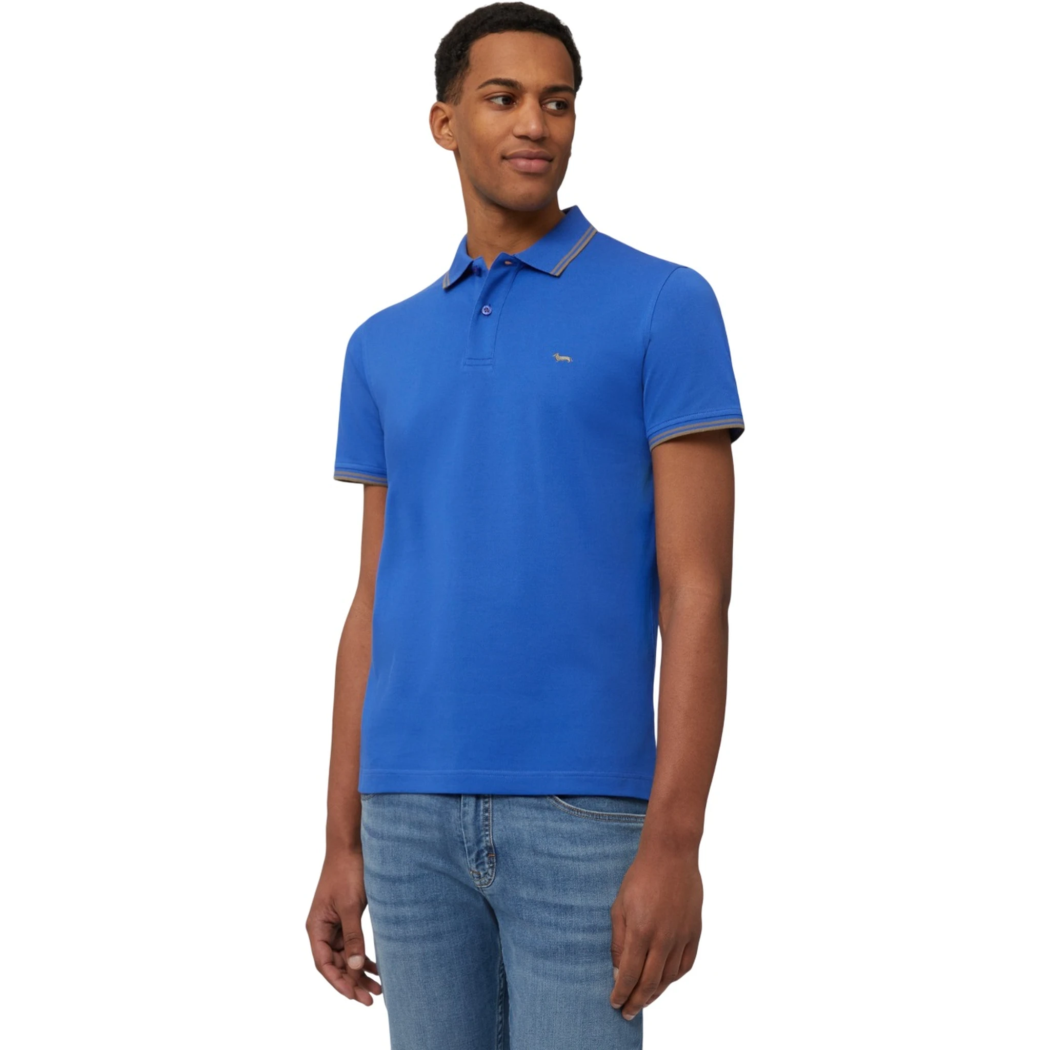 Harmont & Blaine T-shirts and Polos