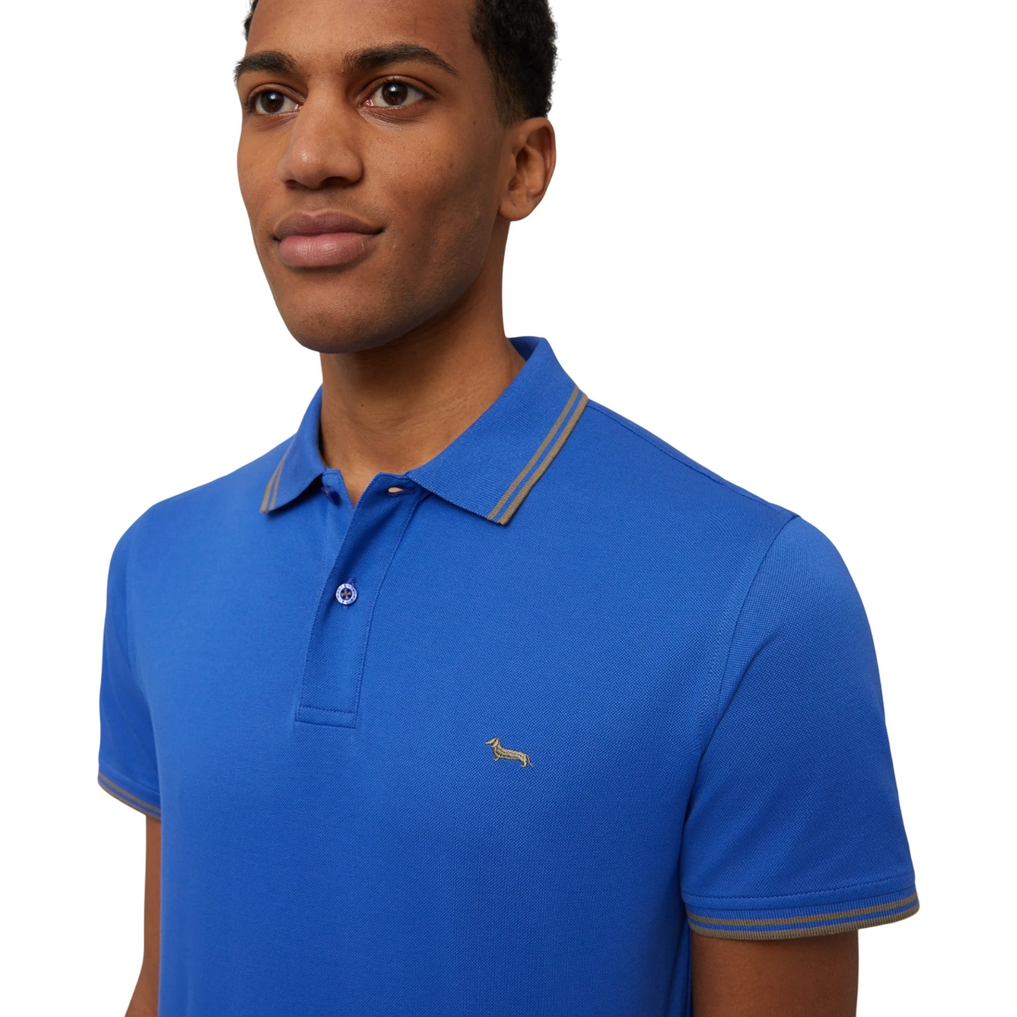 Harmont & Blaine T-shirts and Polos