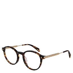 Brown Metal Glasses (Frames)