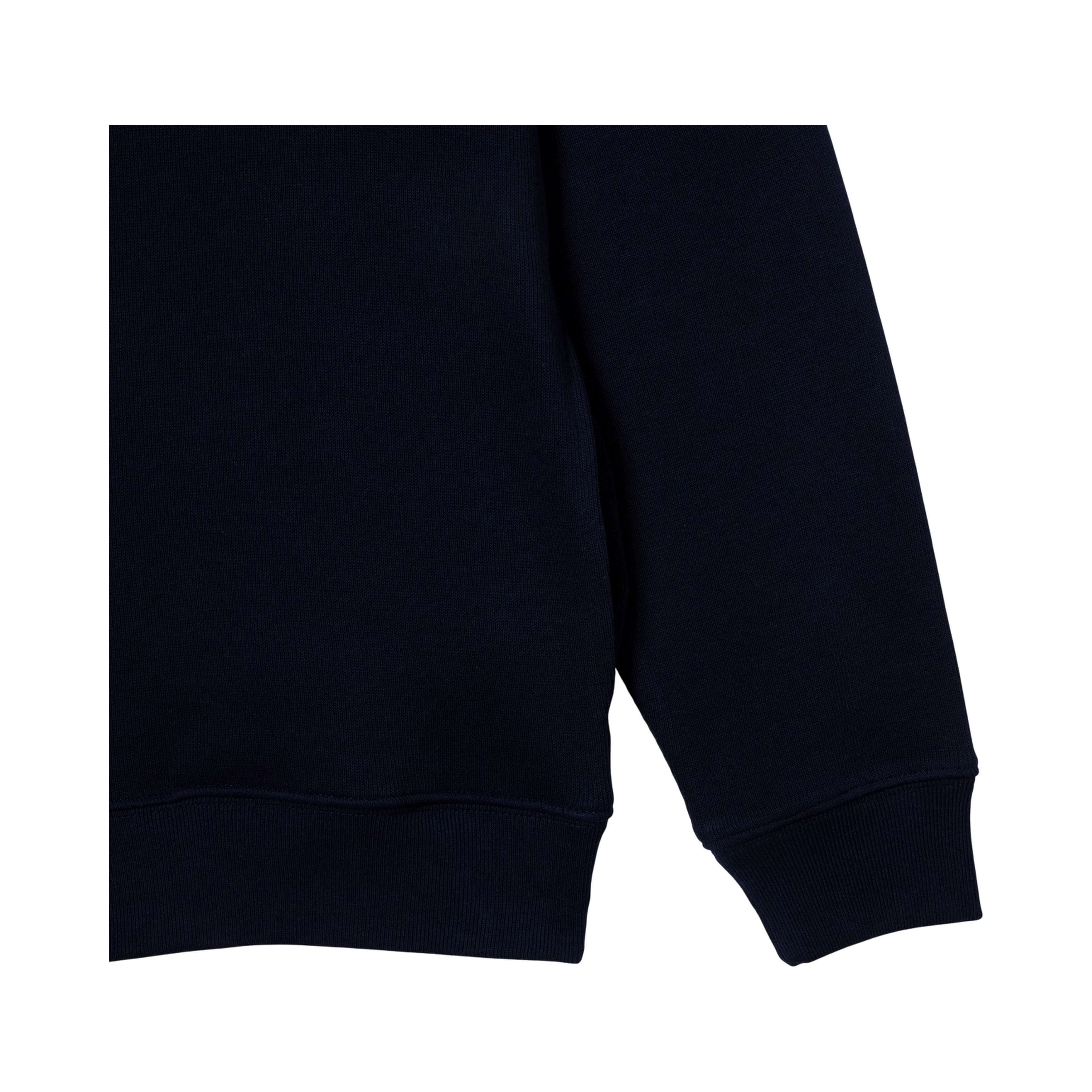 Lacoste Sweaters Blue