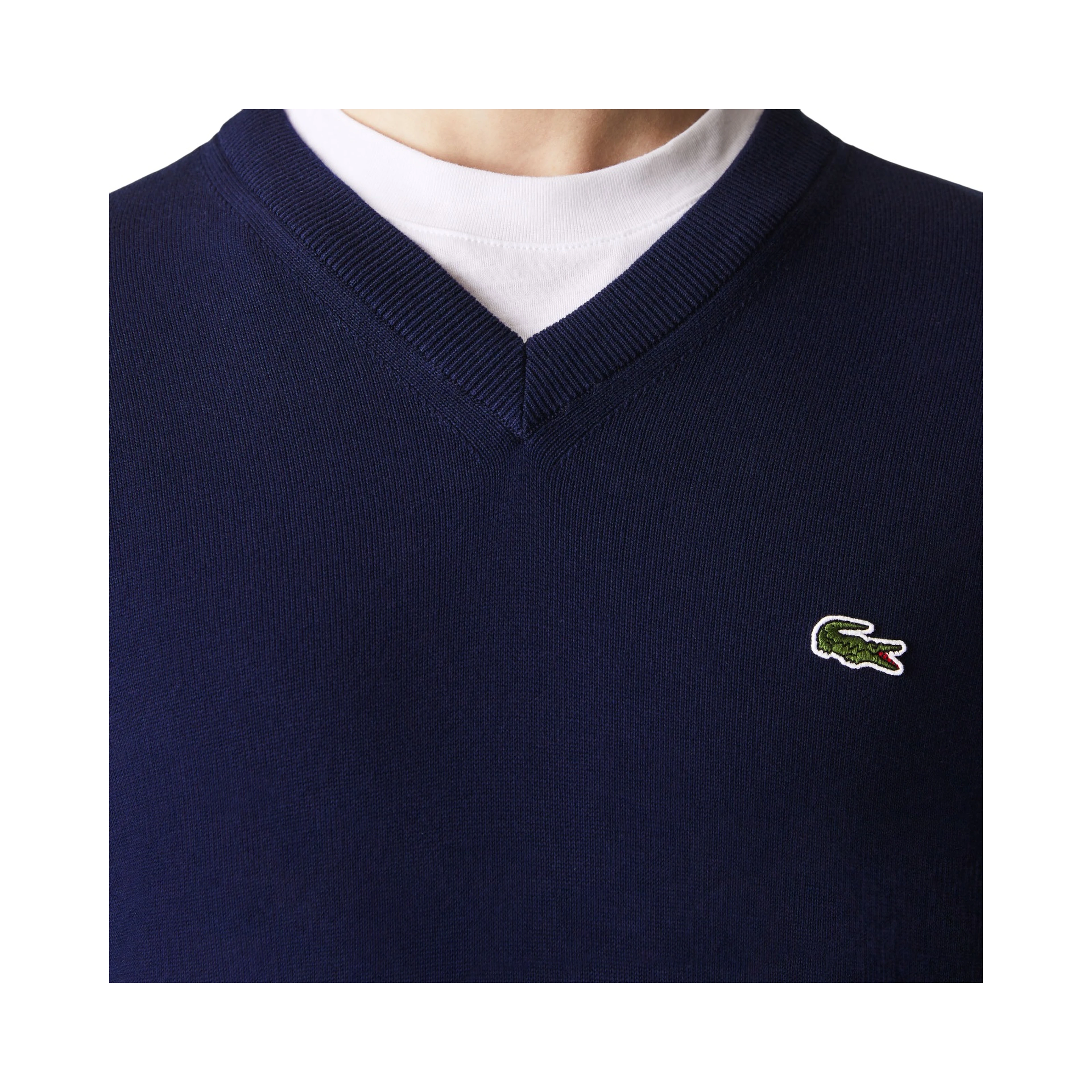 Lacoste Sweaters Blue